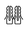 Electricité